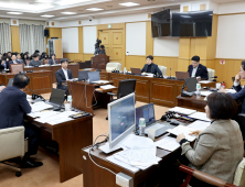 대전시의회, 대전 0시축제 대표 콘텐츠 개발 당부