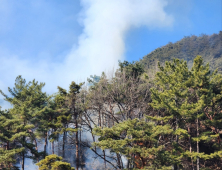 청도군 야산서 불…헬기 동원해 26분 만에 진화