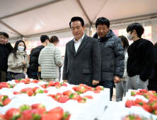 논산딸기축제, 문체부 예비 축제 선정