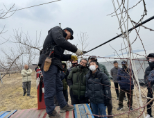 경산시, “경산 복숭아 품질 고급화 나서” 