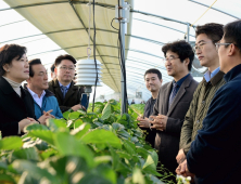 송미령 농식품부 장관, 논산 스마트팜 지원 약속