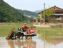 양구군 