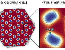 KAIST '전자스핀 이용한 차세대 반도체 소자 기술' 세계 최초 개발