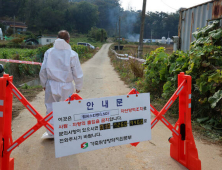 [단독] 11년 전 자료로 살처분 보상…피해는 고스란히 농가에