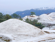 함안 말이산고분군에 소복히 내린 눈