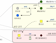 KAIST '친환경 대사공학으로 자스민향 생산' 길 열었다