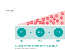 [단독] 하나생명 변액보험 ‘ELS’ 손실 확정