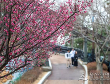 [날씨]부울경(6일) 비는 그쳤지만 곳에 따라 약한 비 가능성 있어...꽃샘추위 계속 