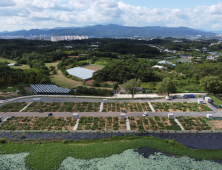 경산시, ‘도시농업 공영농장’ 인기