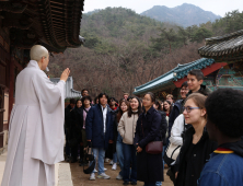 하버드 대학생 100명 한국 여행 떠난다