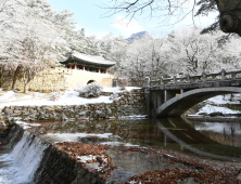 문경시, 문경새재 보존·관광객 편익 두 마리 토끼 잡는다