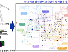 KAIST 