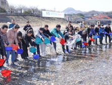 삼척시, 어린연어 50만 마리 방류...현재까지 총 8836만 마리