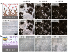 KAIST '세계 최고 수준 리튬금속전지 전해액 기술' 개발