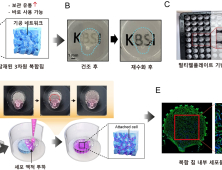 기초연 '3차원 하이드로젤 생체재료칩 제작공정' 개발