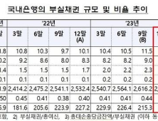 지난해 말 은행 부실채권 잔액 12.5조원…11분기 만에 최대