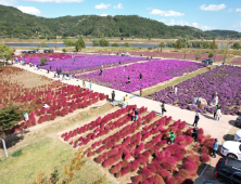 벚꽃·수박·댑싸리...의령군, 지역 자원 활용 소규모 마을축제 연다