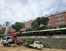 학교 위험 수목 정비·배수로 준설, 교육지원청이 맡는다!