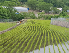 화천군, 야생동물 차단 울타리 설치 지원…최대 600만원