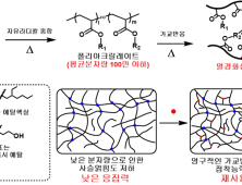 화학연, 재활용 가능한 만능 점착필름 소재 개발 