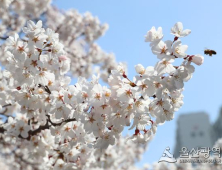 봄철에 자살률이 더 증가한다는 사실 알고 계시나요?