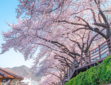 “황사 물러가고 미세먼지 ‘보통’”…낮 최고기온 23도 ‘완연한 봄’