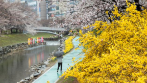 [날씨]부울경(3일) 전국에 비...저녁에 그치겠지만 곳에 따라 밤까지 오는 곳도 있어..