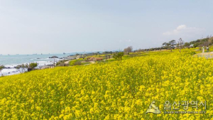[날씨]부울경(9일) 포근하고 온화한 날씨...일교차는 여전히 커 건강관리 유의 