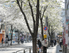 “의대 증원 확실한가요”…혼돈 속 노량진 학원가 [가봤더니]