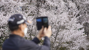 ‘초여름 같네’…전국 대부분 낮 25도 이상 [날씨]