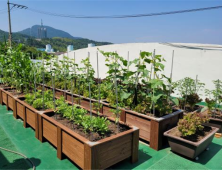  보건환경연구원, 부산 도시텃밭 토양 안전성 조사 실시