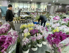 “축 당선” 난향 가득한 국회의원회관