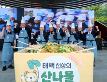 태백 산나물축제 '즐길거리·볼거리·먹거리' 풍성