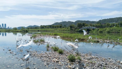울산시, 초미세먼지 농도 특·광역시 중 ‘최저’