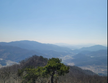 고창군, 성송면 고산 소나무명 공모 ‘만나서 반갑송’ 확정