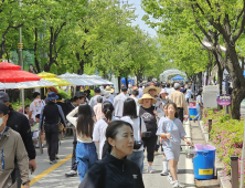 양구 곰취축제 8만명이 즐겼다…곰취 7톤 이틀만에 완판