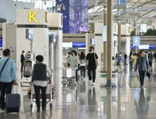 출국 필수품 된 해외여행 보험·카드…맞춤형으로 인기