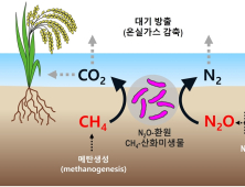 온실가스 원인 '메탄·아산화질소' 동시  제거 습지미생물 발견