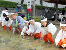 '전통 손모내기' 체험 나선  꼬마 농부들