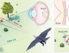 [쿠키과학]멀리 정확히 보는 독수리 눈 모방, 카메라로 만들다 