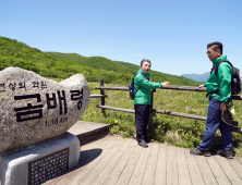 산림청 '집중호우 대비 전국 임도 특별점검'