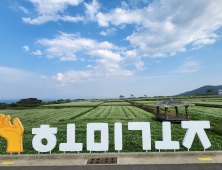 포항은 지금 '메밀꽃 필 무렵'