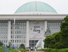 의료개혁 급한데…22대 국회서 간호법·비대면진료 법제화될까