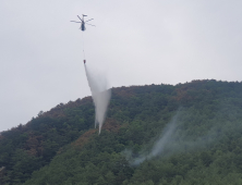 태백 재발화 산불 진화 완료...뒷불 감시체제 전환