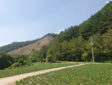 평창군 진부면서 산불 발생…헬기 3대 투입 진화 중