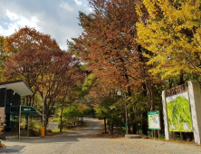 경주 토함산자연휴양림서 '반려동물과 힐링하자'