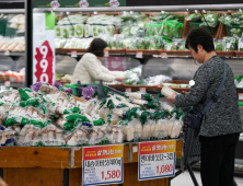 7월 농산물 가격 “배추는 작년보다 비싸고 수박은 저렴”