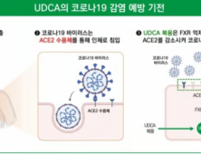 우루사 성분 ‘UDCA’, 코로나19 감염 예방 효과 입증