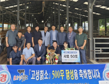 강원 고성군 한국전통 희귀 칡소 500두 사육 달성 경사  