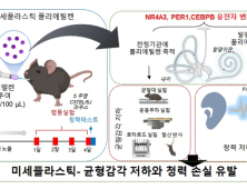 미세플라스틱, 귀 건강까지 위협한다